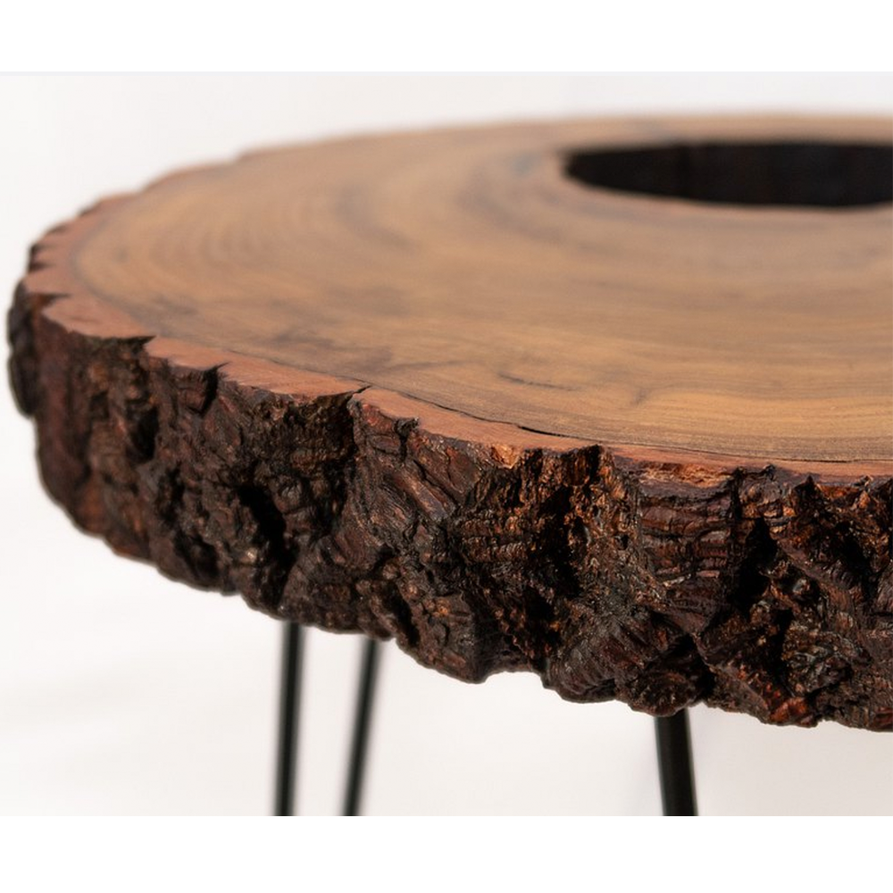 Jianmuzuo｜[Calpa Series] Log Tree Hole Coffee Table