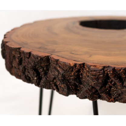 Jianmuzuo｜[Calpa Series] Log Tree Hole Coffee Table