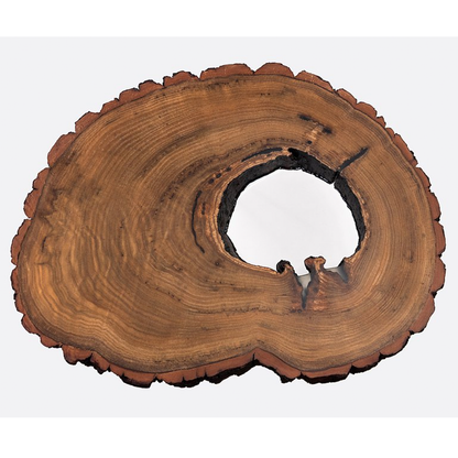 Jianmuzuo｜[Calpa Series] Log Tree Hole Coffee Table