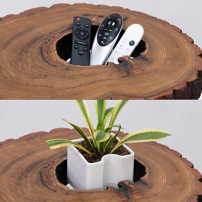 Jianmuzuo｜[Calpa Series] Log Tree Hole Coffee Table
