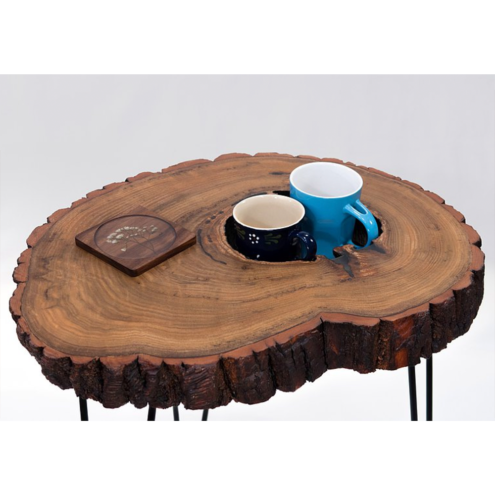 Jianmuzuo｜[Calpa Series] Log Tree Hole Coffee Table