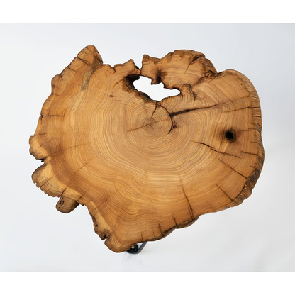 Appreciating wood work｜Thuja log coffee table 02