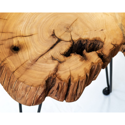 Appreciating wood work｜Thuja log coffee table 02