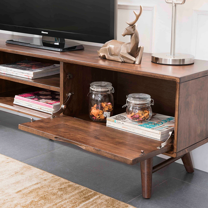 VARIETY 2-Drawer with Lift-up Door TV Board 
